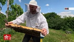Albania, a Puka il miele  crea lavoro e favorisce il ritorno dei giovani