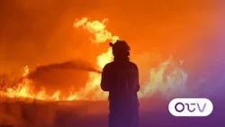 Europe's Wildfires: Europe faces widespread forest fires