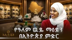 ቢሊየን ብሮችን ያስገኙ የኢትዮጵያ ማዕድናት | ብታዩት | እሁድ ቤት