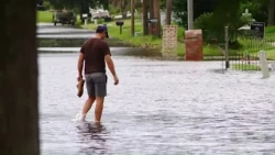 Why did the Venetian Isles flood if Tropical Storm Bertha brought little rain?
