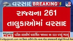 261 Talukas Receive Rainfall, North Gujarat Hit by Very Heavy Showers  | TV9Gujarati
