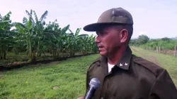 Food production boosted at #Guantánamo penitentiary facility