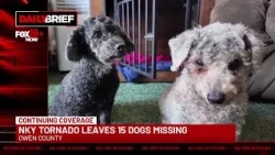 Daily Brief: NKY  tornado leaves 15 dogs missing