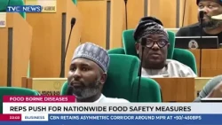 Xenophobia:Reps Resolve To Probe Role Of South African Govt