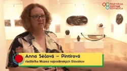 Vladimír Rovnjev Labát v Galérii Zuzky Medveďovej