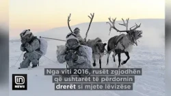 IN TOPIC  Ushtritë më të çuditshme që kanë ekzistuar ndonjëherë