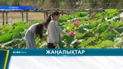 ЖАЙЫҚТА ГҮЛДЕГЕН ЛОТОС: СУ ЭКОЖҮЙЕСІНЕ ЗИЯНЫ БАР МА?