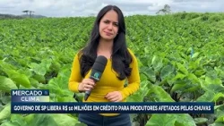 São Paulo releases credit for producers affected by rains