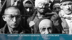 The Occupation of the Kamenka District: Terror and Its Consequences