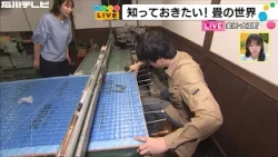 The soothing scent of igusa... A look at traditional techniques at a tatami shop dating back to t...