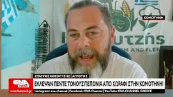 Έκλεψαν πέντε τόνους πεπόνια από χωράφι στην Κομοτηνή!