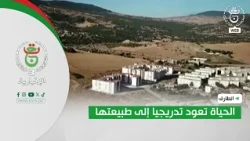 El Tarf | Life is Gradually Returning to Normal