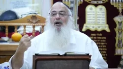 Rabbi Shlomo Lewinstein with amazing insights on Parashat Pinchas - 5785