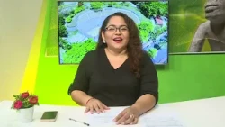 UJAT News August 31, 2026