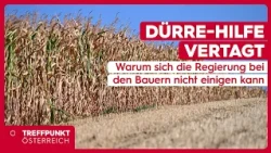 🎯 Drought relief postponed: Why the government can't reach an agreement on farmers