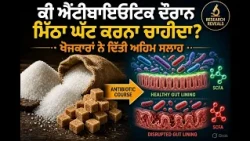 ਕੀ ਐਂਟੀਬਾਇਓਟਿਕ ਦੌਰਾਨ ਮਿੱਠਾ ਘੱਟ ਕਰਨਾ ਚਾਹੀਦਾ? ਖੋਜਕਾਰਾਂ ਨੇ ਦਿੱਤੀ ਅਹਿਮ ਸਲਾਹ