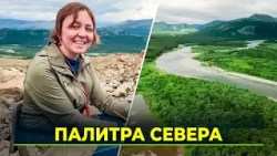 "Polar Star": How artists set out to chronicle the Polar Urals