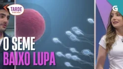 O SEME, baixo o MICROSCOPIO | TARDE PIACHES