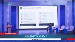 Мемлекеттік қолдау