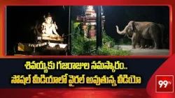 శివయ్యకు గజరాజుల నమస్కారం..సోషల్ మీడియాలో వైరల్ అవుతున్న వీడియో | Rare Elephant Scene Goes Viral..!