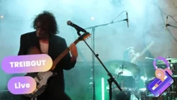 treibgut live - Pop-Kultur Nachwuchs | Pop-Kultur 2026