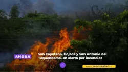 Cundinamarca remains on alert due to forest fires in three municipalities | Environment