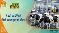 Safal Kisan | Successful Farmer - How Dairy Farming Transformed a Young Man's Life | DD Kisan | A...
