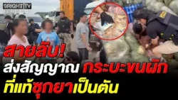 Drug Ring Bust! Cabbage Truck Smuggled Ton of Drugs Beneath Floorboards to Fool Police—Finally Am...