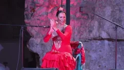 Flamenco u Trogiru 04.09.2026.