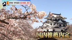 [Reporter's Analysis] Hikone Castle selected as domestic candidate for World Cultural Heritage site