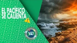 How does the ocean alter the planet's climate? 🌊 Pacific Ocean and the El Niño phenomenon