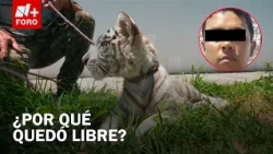 Man who walked Bengal tiger cub in Iztapalapa released