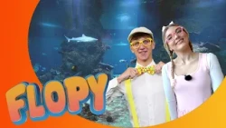 Pamäť ako rybka | Flopy a Fify