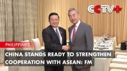 China Stands Ready to Strengthen Cooperation with ASEAN: FM