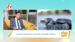 تعمل إيه لو لدغك ثعبان أو عقرب؟! | صباح النور