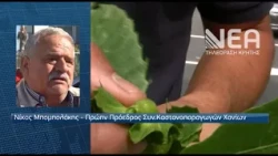 ΣΥΝΑΓΕΡΜΟΣ ΣΤΑ ΧΑΝΙΑ ΓΙΑ ΤΗ ΣΦΗΚΑ ΤΗΣ ΚΑΣΤΑΝΙΑΣ