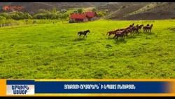 Յուքոմի ծրագրերն` ի նպաստ բնության