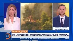 Φωτιά στη Βοιωτία: Στο «μικροσκόπιο» τα αιολικά πάρκα με εισαγγελική παραγγελία
