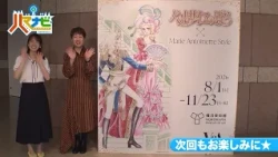 ハマナビ　次回予告（10月31日放送）