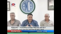 Fedeagro and Fevearroz demand fair prices and clear terms for corn and rice harvests