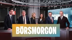 Chefsekonomen: Riksbanken kommer höja räntan till hösten