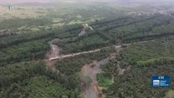 Aerial images show destructive erosion caused by Hurricane Lala