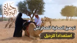 سحر الصحراء: تفاصيل السفر مع الإبل صباحاً ومساءً