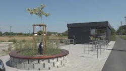 Horúčavy menia harmonogram kosenia
