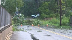 Storm damage in Orange