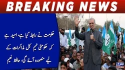Govt Team Expected in Mansoura Tomorrow for Talks, Says Hafiz Naeem