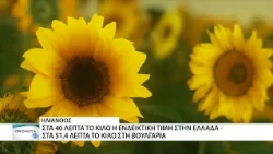 Ξεκίνησε η εκτίμηση του ηλίανθου - Υψηλότερη η τιμή του στη Βουλγαρία σε σχέση με την Ελλάδα