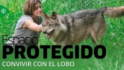 Protected Space | "Land of Wolves, School for Shepherds": Living with the Wolf