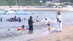 Beach Season is Here: Shibukawa Beach in Tamano, the Most Popular Swimming Spot in Okayama Prefec...