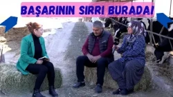 Farmer TV